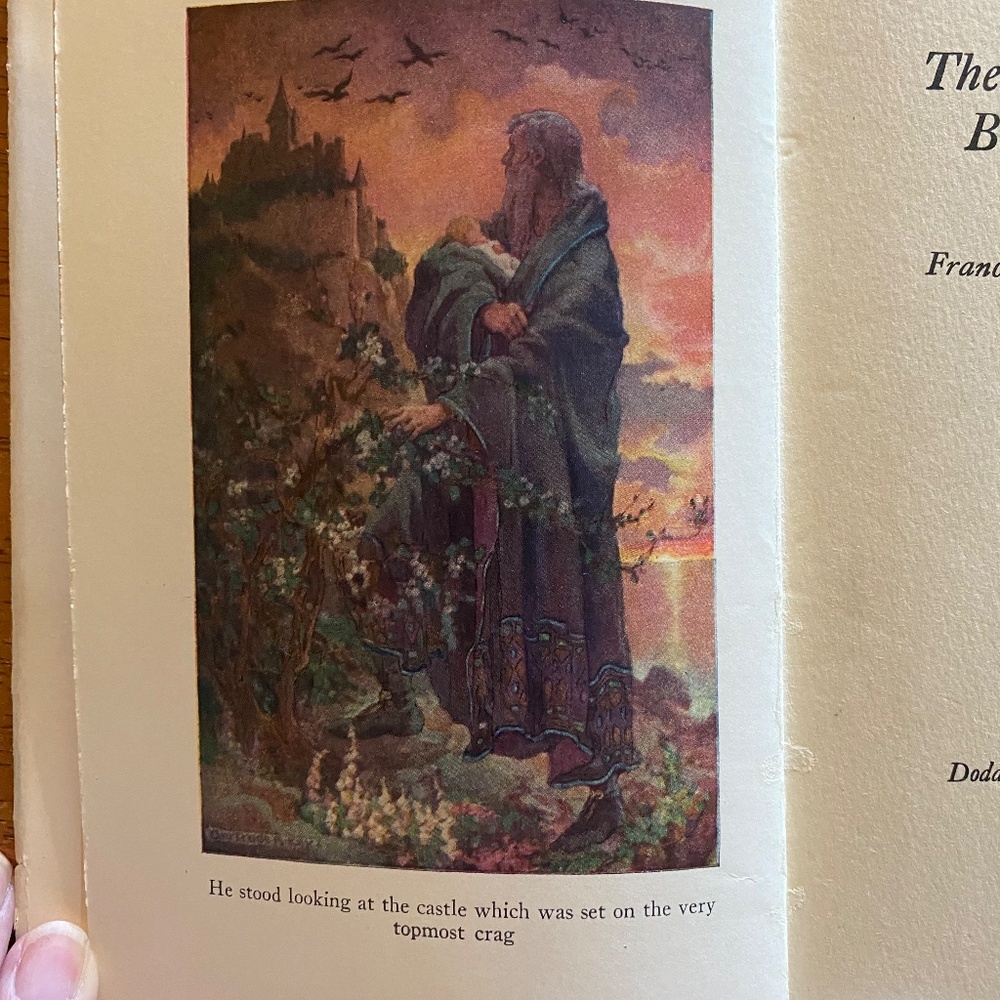 Dodd Mead Blue Cloth Embossed Hardcover Book Vintage 1924 Coffee Table - Picture 16 of 16